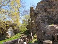 F2011_031.jpg