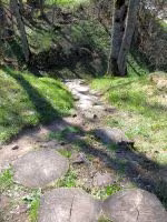 F2011_036.jpg