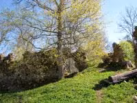F2011_032.jpg