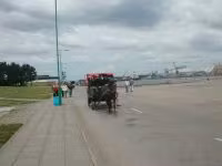 DSCN3378.jpg