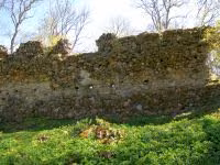 F2011_033.jpg