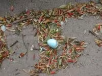 DSCN3313.jpg