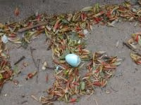 DSCN3313.jpg
