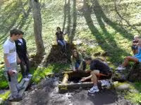 F2011_001.jpg