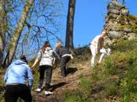 F2011_003.jpg