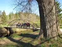 F2011_023.jpg