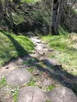 F2011_036.jpg