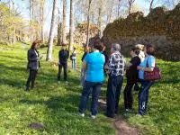 F2011_117.jpg