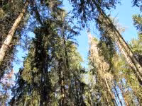 F2011_018.jpg
