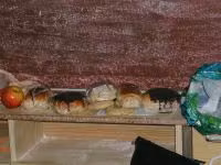 DSCN3356.jpg