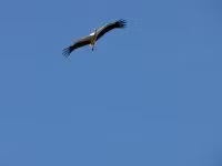 F2011_035.jpg