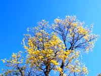 F2011_096.jpg
