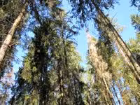 F2011_018.jpg