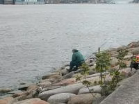 DSCN3380.jpg