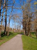 F2011_105.jpg