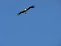 F2011_035.jpg