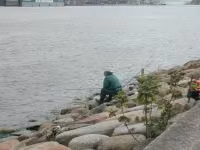 DSCN3380.jpg