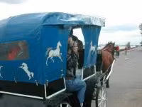 DSCN3379.jpg