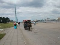 DSCN3378.jpg