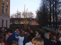 PIC_0133.jpg