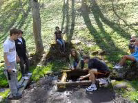 F2011_001.jpg