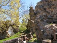 F2011_031.jpg
