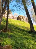F2011_110.jpg