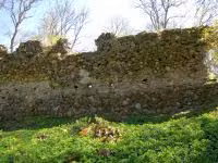 F2011_033.jpg