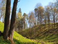 F2011_109.jpg
