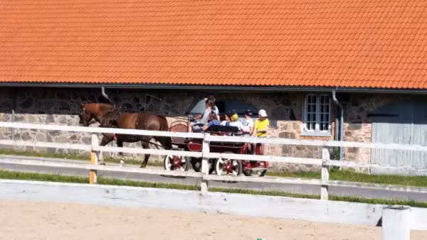 Hobusõit